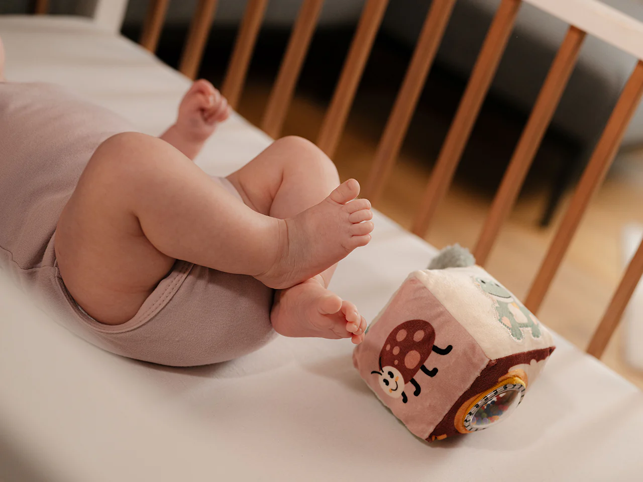 Dreambaby | Eezee-it